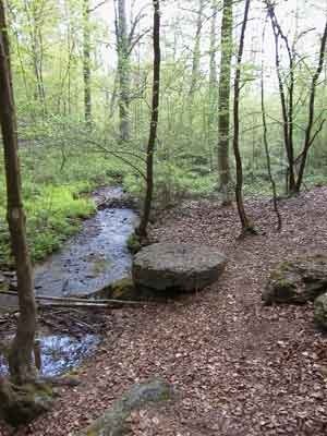 Bois des Rocs - Table des Sorcières